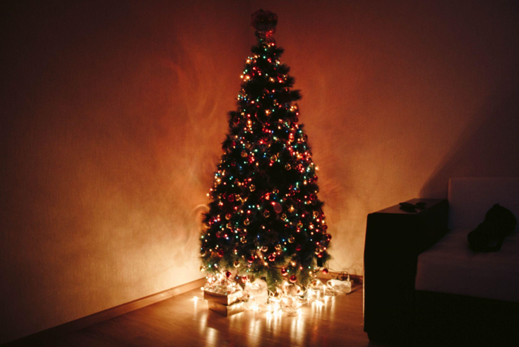 Strength Training During the Holiday Season: Why You Should Buy a 7 Feet Christmas Tree